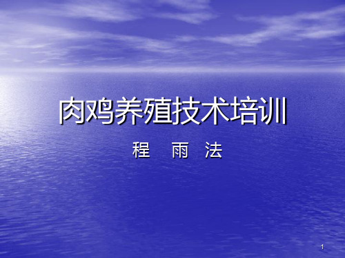 新编养殖技术饲养管理家禽鸡PPT课件