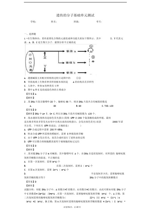 一轮复习浙科版遗传的分子基础单元测试