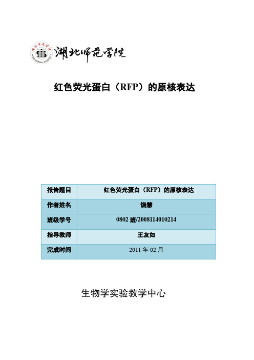 红色荧光蛋白(RFP)的原核表达