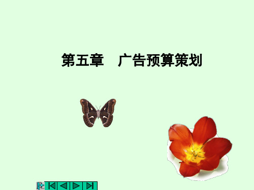 第五章广告预算策划