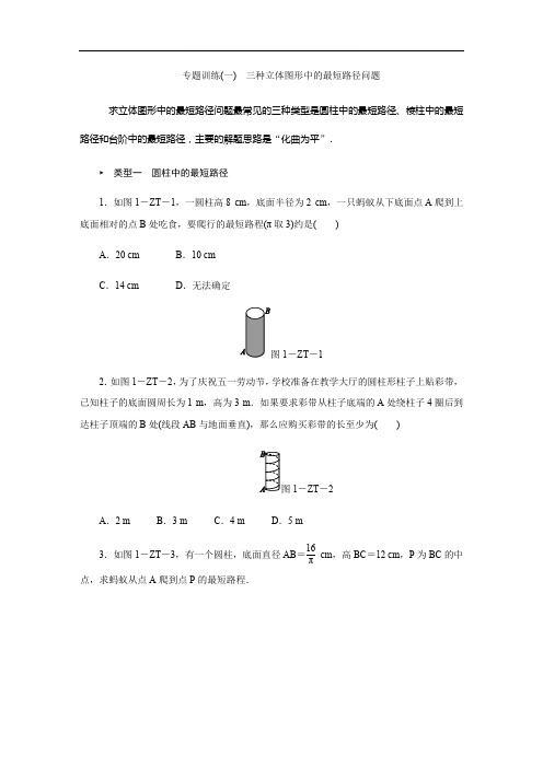 专题训练(一) 三种立体图形中的最短路径问题