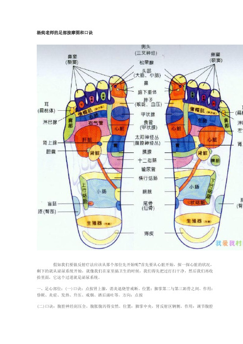 杨奕老师的足部按摩图和口诀