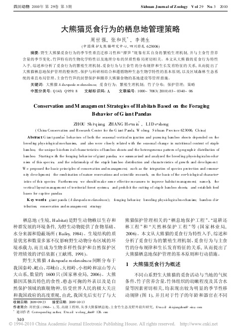 大熊猫觅食行为的栖息地管理策略