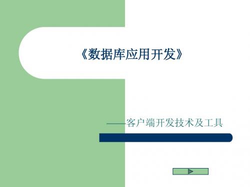 数据库应用开发——客户端开发技术及工具