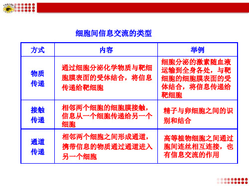 细胞间信息交流的类型