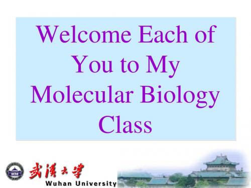 武大分子生物学课件CHAPTER 20