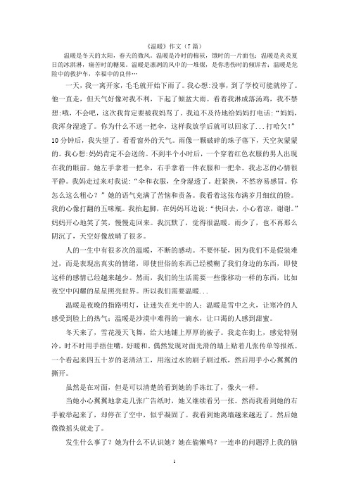 《温暖》作文(7篇)