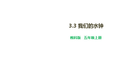 教科版五年级上册科学 第三单元 计量时间 我们的水钟