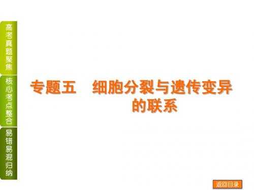 2014届高考生物二轮复习权威课件:专题五 细胞分裂与遗传变异的联系