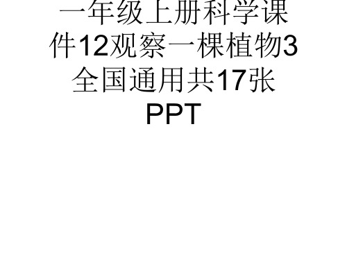 (完整)一级上册科学课件观察一棵植物全国通用共张PPT精品PPT资料精品PPT资料