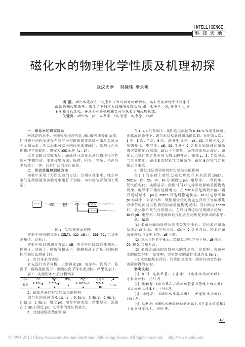 磁化水的物理化学性质及机理初探