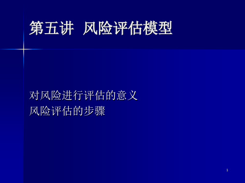 风险评估模型ppt课件