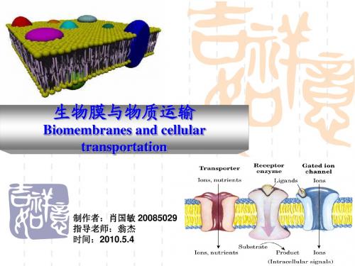 生物膜与物质运输