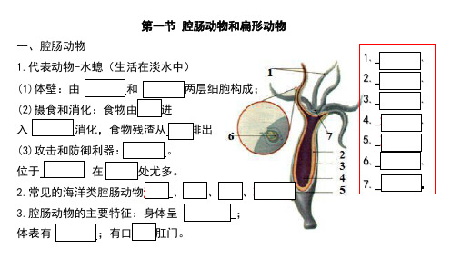 人教版生物八年级上册期末考试知识点汇总(课件)