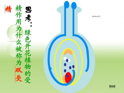 果实和种子的形成Microsoft PowerPoint 演示文稿