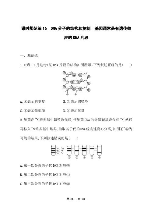 高考生物复习课后习题第5单元遗传的分子基础 DNA分子的结构和复制 基因通常是有遗传效应的DNA片段