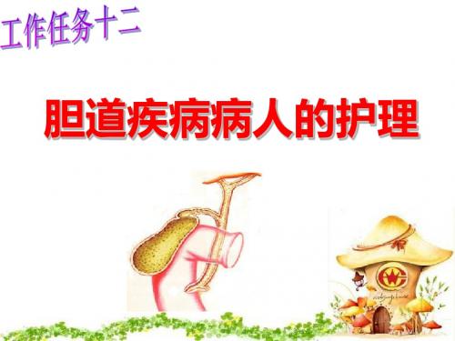 胆道疾病病人的护理