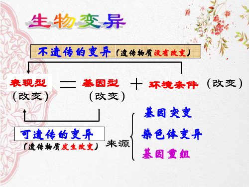 新版人教版高中生物基因突变及其他变异复习(共34张PPT)学习演示PPT课件