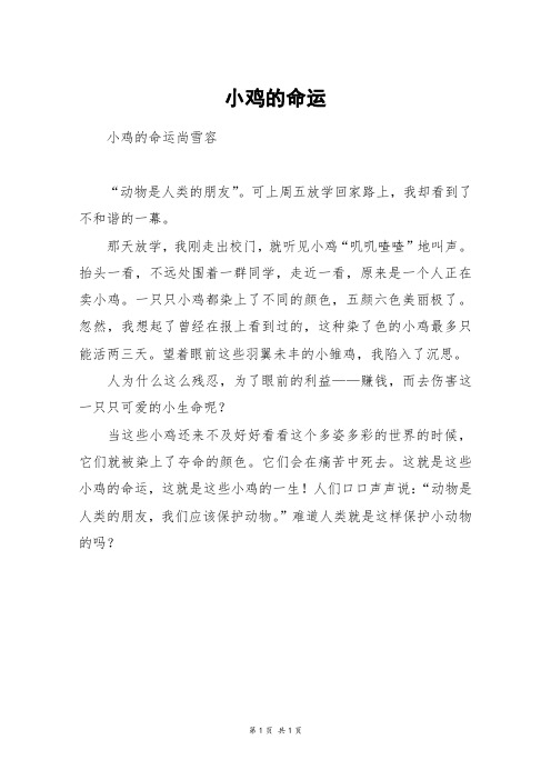 小鸡的命运_五年级作文