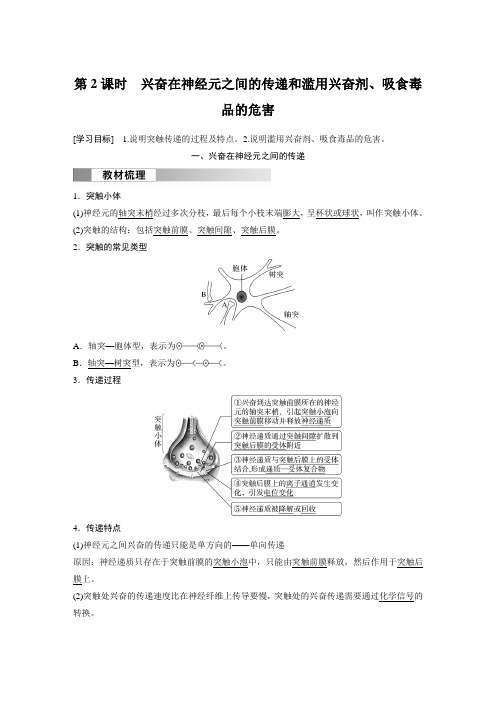 高中生物新教材选择性必修第一册教案讲义：兴奋在神经元之间的传递和滥用兴奋剂、吸食毒品的危害