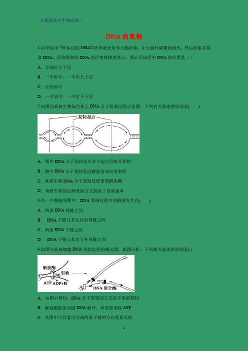 高中生物必修二课时作业22：3.3 DNA的复制 