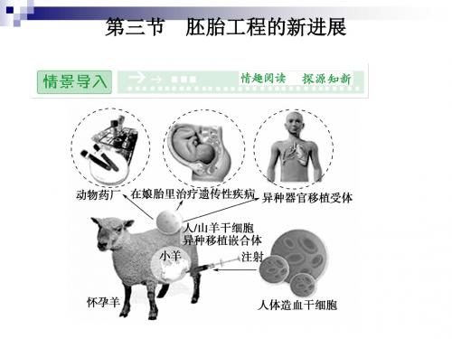 1.3.3 胚胎工程的新进展 课件(中图版选修3)