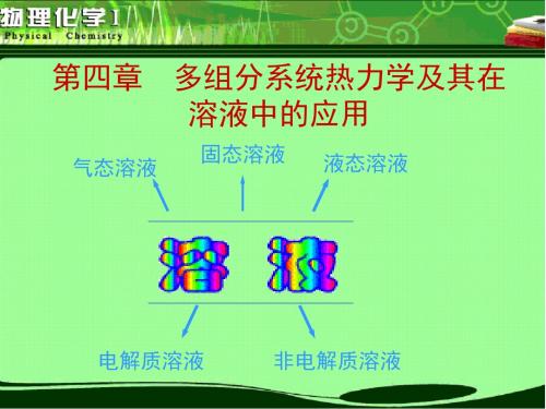 物理化学 第4章 多组分系统热力学及其在溶液中的应用