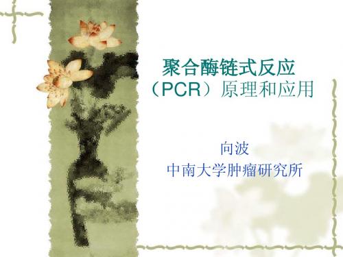 PCR原理和应用