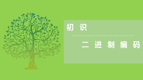 《初识二进制编码》信息技术教育教学课件PPT模板