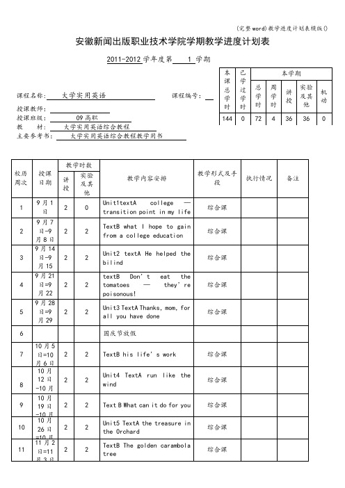 (完整word)教学进度计划表模版()