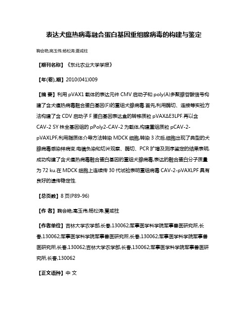 表达犬瘟热病毒融合蛋白基因重组腺病毒的构建与鉴定