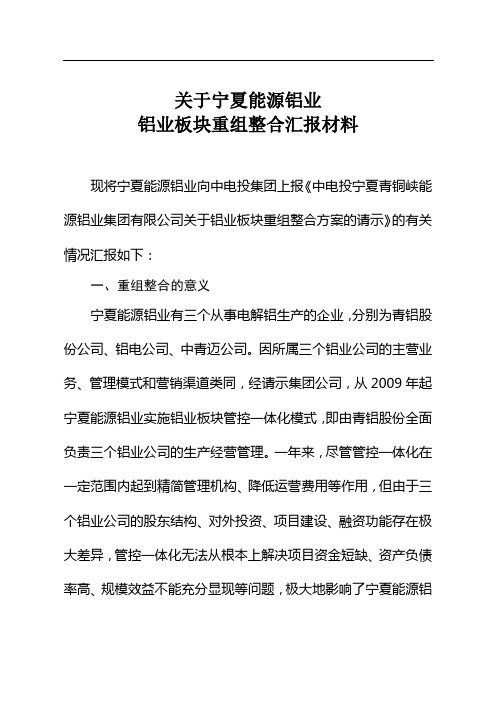 铝业板块重组整合上市汇报资料(2)