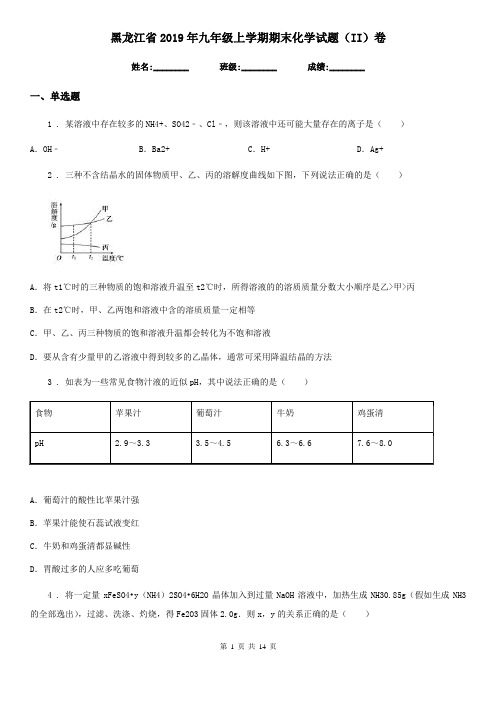 黑龙江省2019年九年级上学期期末化学试题(II)卷