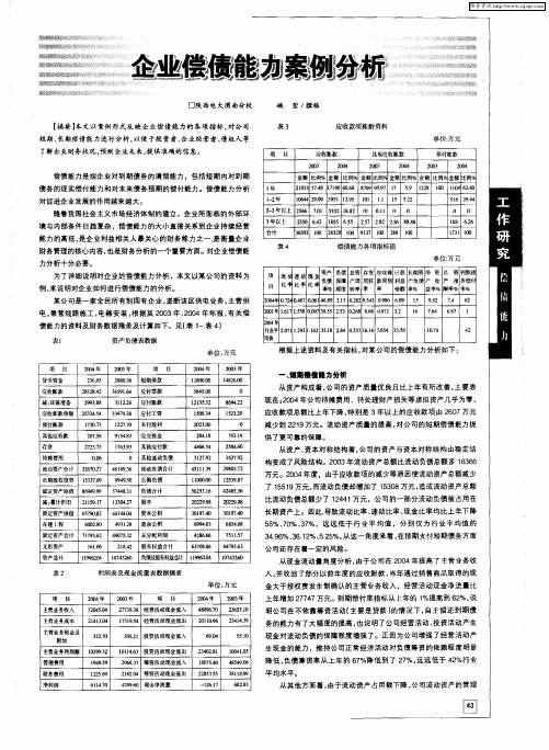 企业偿债能力案例分析