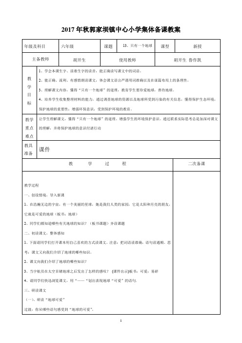 13、只有一个地球集体备课教案