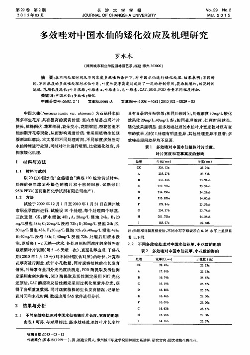 多效唑对中国水仙的矮化效应及机理研究