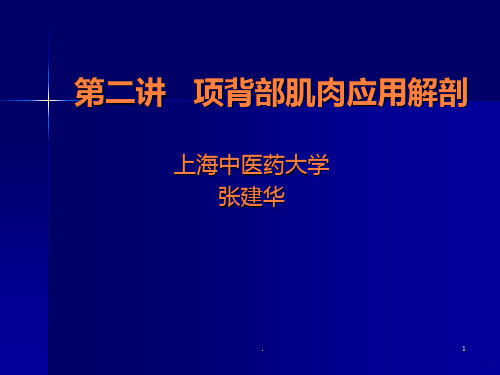 项背部肌肉应用解剖ppt课件