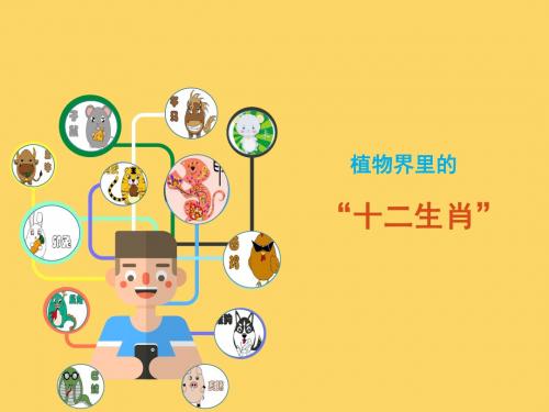 植物界里的“十二生肖”