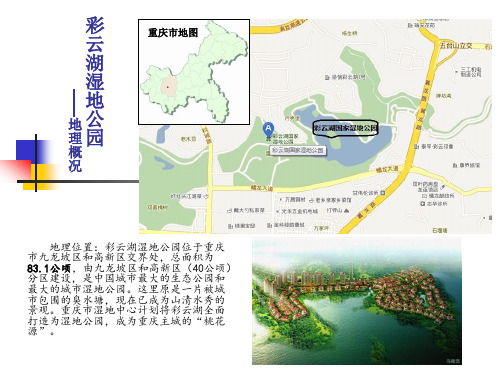 重庆彩云湖湿地公园彩云湖案例研究