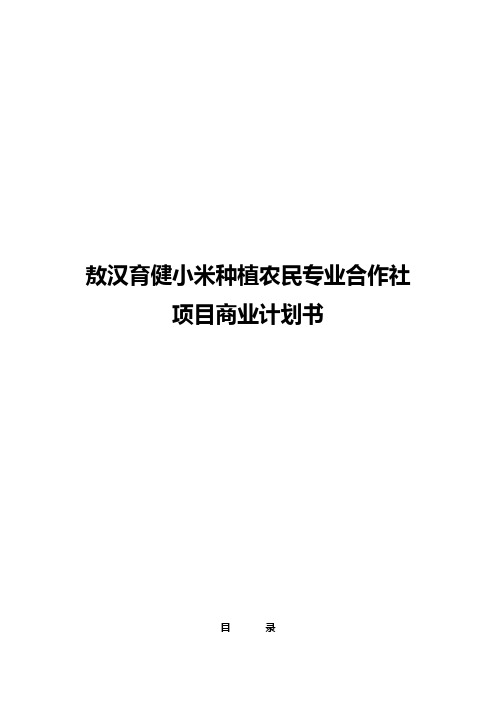 敖汉育健小米种植农民专业合作社项目商业计划书