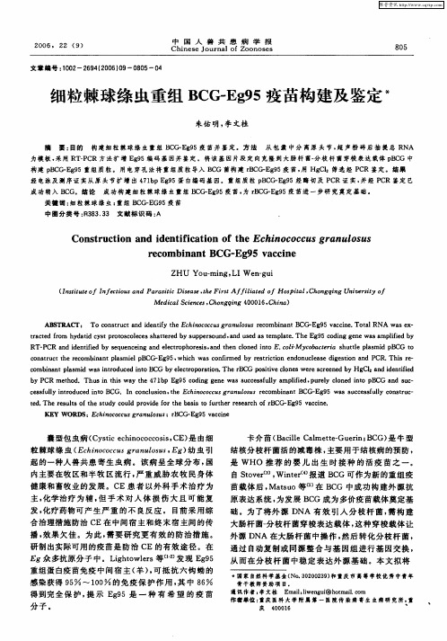 细粒棘球绦虫重组BCG-Eg95疫苗构建及鉴定