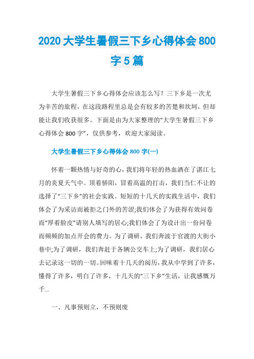 2020大学生暑假三下乡心得体会800字5篇