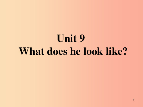 山东省七年级英语下册 Unit 9 What does he look like课件 新人教版PPT