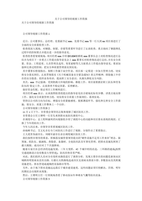 关于公司领导的视察工作简报