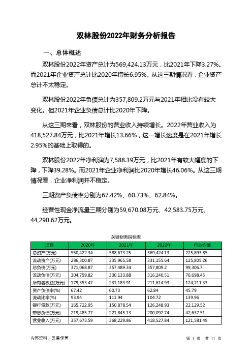 300100双林股份2022年财务分析报告-银行版