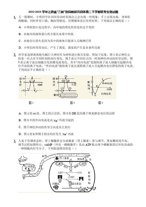 2022-2023学年江西省“三新”协同教研共同体高二下学期联考生物试题