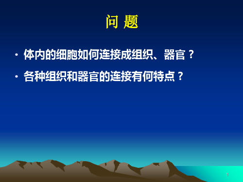 细胞连接和细胞外基PPT演示文稿