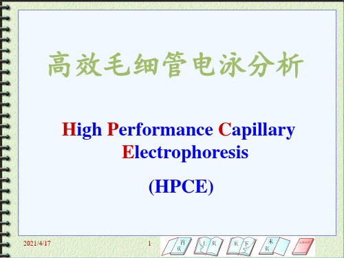 毛细管电泳 ppt课件