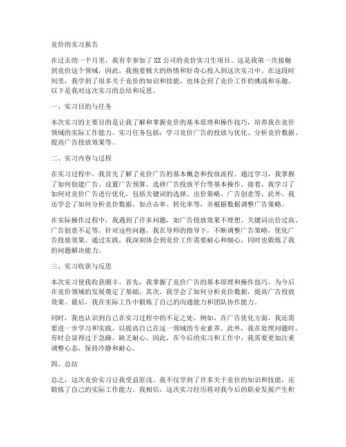 竞价的实习报告