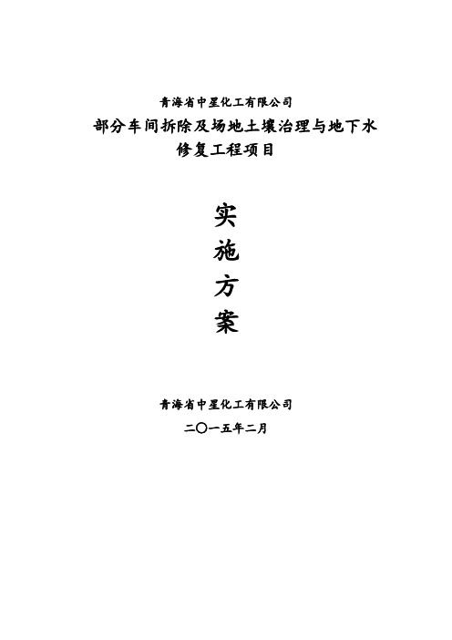 中星化工部分车间拆除场地土壤治理与地下水修复工程项目实施方案 